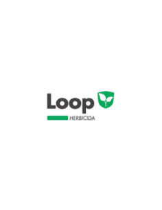 Producto Loop Imagen 1