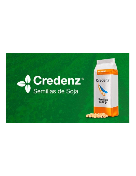 Producto Soja 4625 STS - 1era Multiplic.RZQTOP Imagen 1