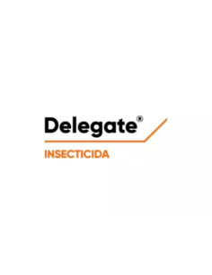 Producto Delegate Imagen 1