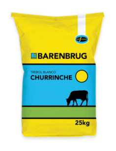 Producto Trebol Blanco Churrinche Imagen 1