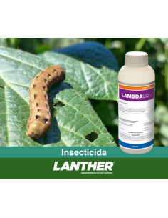 Lambda LQ 25  | Bipolos