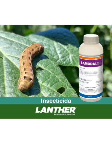 Lambda LQ 25  | Bipolos