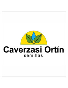 Avena Bonaerense Calen Inta  | Bipolos