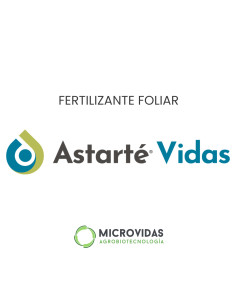 Producto Astarté Vidas Imagen 1