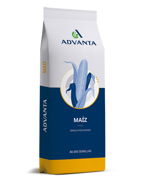 Producto Maiz ADV 8115 - Banda 2 - VT3 Imagen 1