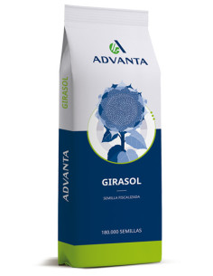 Producto Girasol ADV 101 - Banda 1 - CF Imagen 1