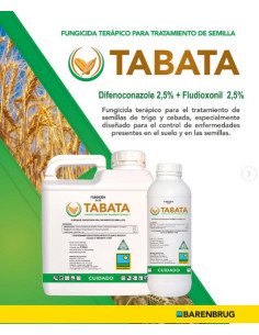 Producto Tabata Imagen1