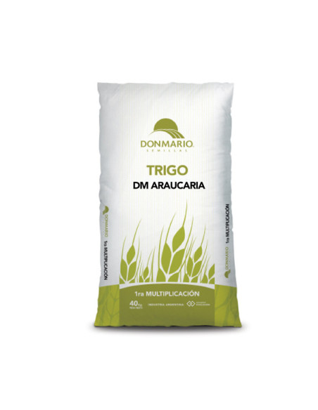 Producto Trigo DM Casuarina - Sistiva + Imida + Top Seed - 1era Multiplic.. Imagen 1