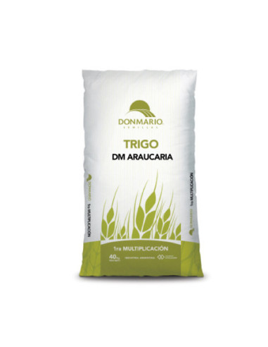 Producto Trigo DM Casuarina - Primu - 1era Multiplic. Imagen 1