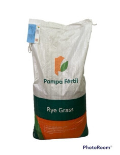 Producto Rye Grass Perenne Tetraploide Pampa INTA Imagen 1 2