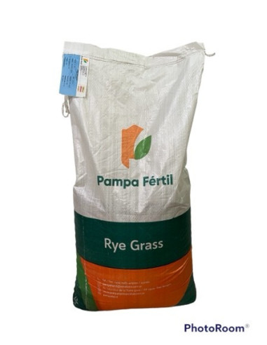 Producto Rye Grass Perenne Tetraploide Pampa INTA Imagen 2