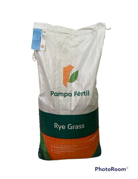 Producto Rye Grass Perenne Tetraploide Pampa INTA Imagen 2