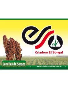 Producto Sorgo Forrajero Convencional Rodeo Imagen 1