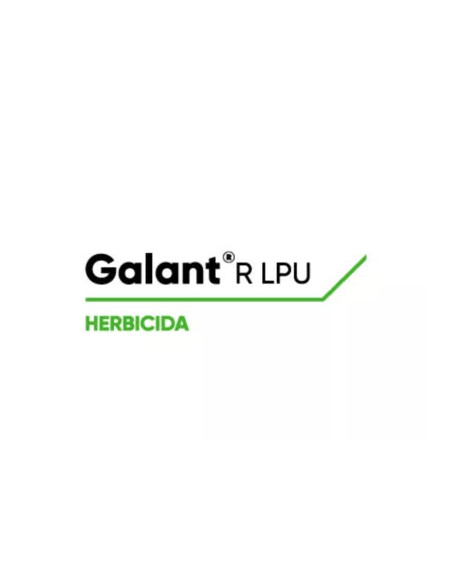 Producto Galant R Lpu Imagen 1
