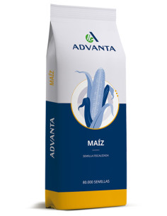 Producto Maiz ADV 8122 - Banda 3 - VT3 Imagen 1