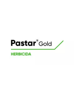 Producto Pastar Gold Imagen 1