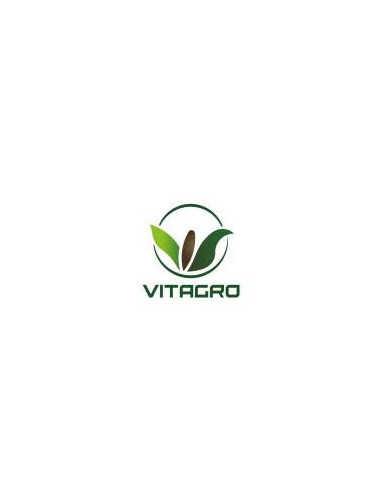 Alfalfa Aurora Grupo 6 - VITAGRO  | Bipolos