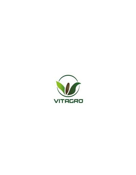 Producto Triticale Dardo INTA Imagen 1