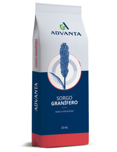 Producto Sorgo ADV G2550 - IG AX Imagen 1