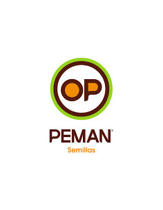 Producto Digitaria Eriantha Peman Imagen 1