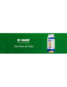 Producto Refugio Maiz RG 2724- Banda 1 - TGCL Imagen 1