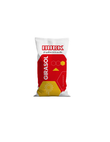 Producto Girasol BUCK 355 - Banda 1- CL Imagen 1