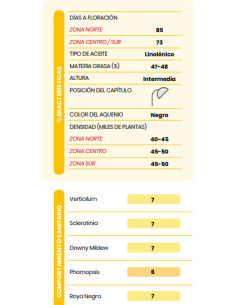 Producto Girasol BUCK 355 - Banda 1- CL Imagen 1 2