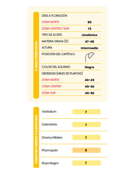 Producto Girasol BUCK 355 - Banda 1- CL Imagen 2