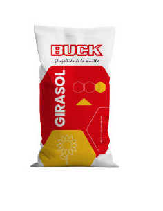 Producto Girasol BUCK 8243 - Banda 1 - CL Imagen 1