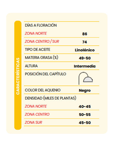 Producto Girasol BUCK 8243 - Banda 1 - CL Imagen 1