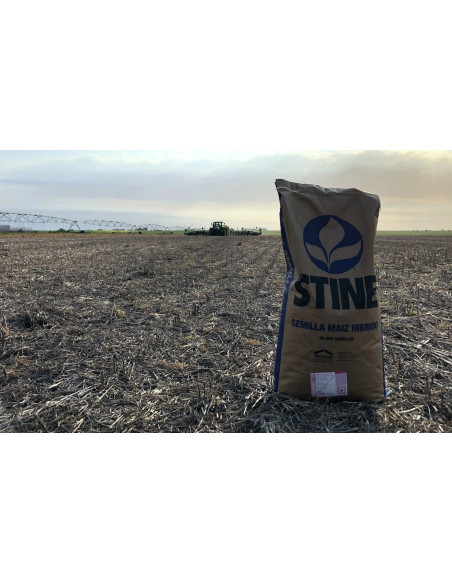 Producto Maiz KM 4480 - Banda 2 - VT3 Imagen 1