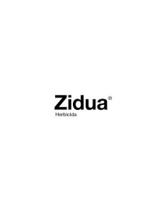 Producto Zidua Imagen 1