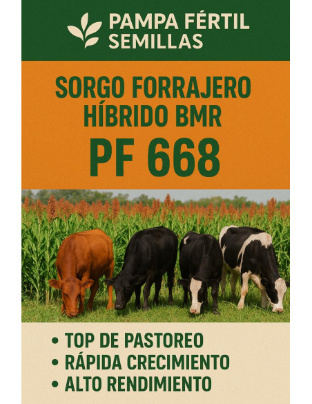 Sorgo PF 668 BMR - PAMPA FERTIL  | Bipolos