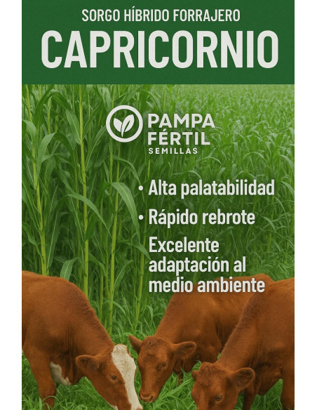 Sorgo Forrajero Capricornio Pampa Fertil - PAMPA FERTIL  | Bipolos