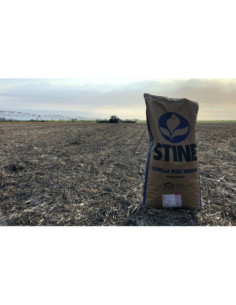 Producto Maiz ST 9939 - Banda 2 - VIP Imagen 1