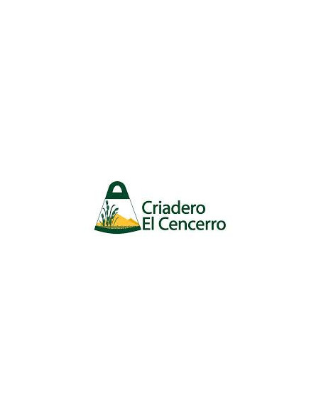 Producto Agropiro Alargado Raiquen Imagen 1