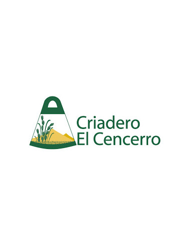 Producto Maiz cec 2325 XP Imagen 1