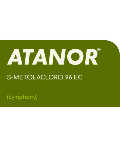 Producto Symphony Imagen 1