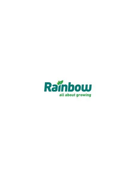 Producto Picloram 24 Rainbow - CUPON Imagen 1