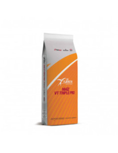 Producto Maiz LT 720 - Banda 3 - VT3 Imagen 2