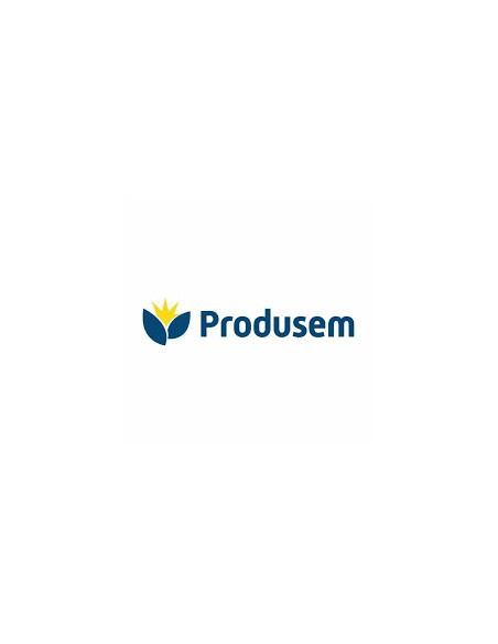 Rye Grass Abundant 4n | Bipolos