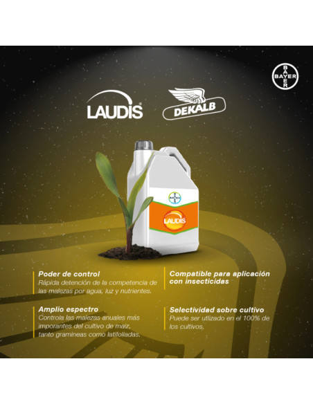 Laudis - BAYER  | Bipolos