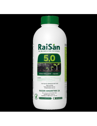 Raisan 5.0 - RAISAN | Bipolos