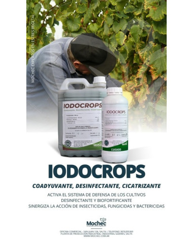 Idrocrops - MOCHEC | Bipolos