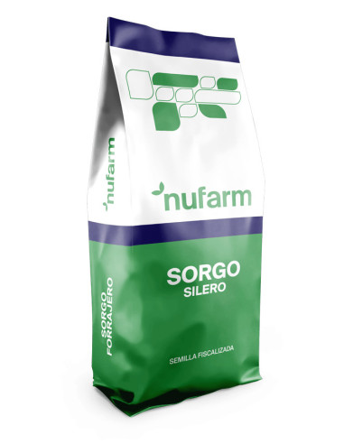 Sorgo NUSIL 484 - NUSEED  | Bipolos