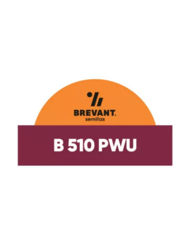 Producto Maiz BRV 510 - Banda 2 - PWUE Imagen 1