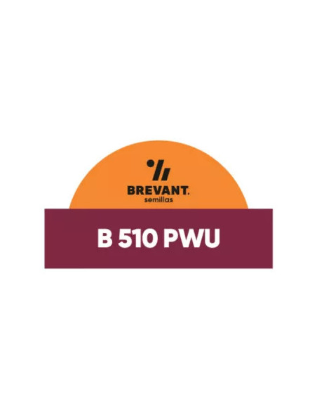 Producto Maiz BRV 510 - Banda 1 - PWUE Imagen 1
