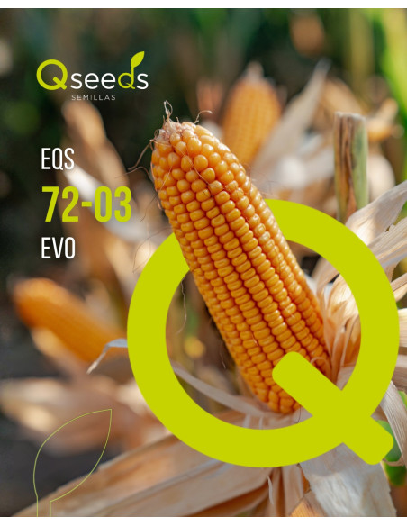 Producto EQS 72-03 EVO Imagen 1