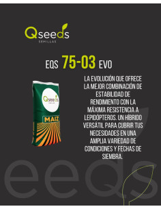 Maiz EQS 75-03 EVO - QSEEDS | Bipolos