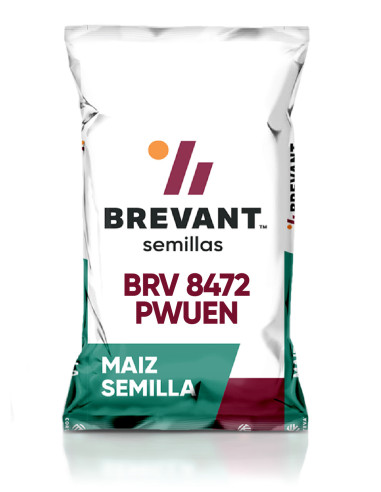 Producto Maiz BRV 8472 - Banda 3 Imagen 1